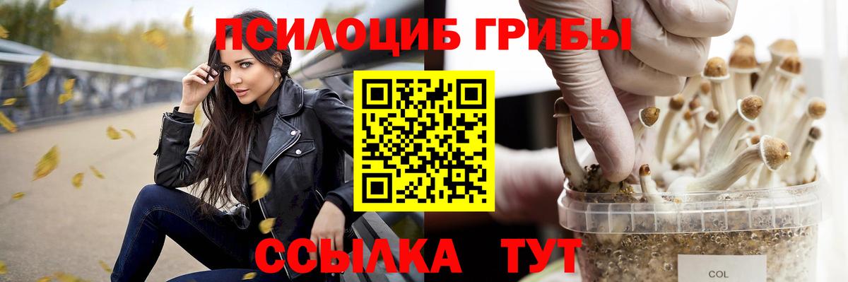 Новошахтинск  Галлюциногенные грибы Psilocybe  Вход с VPN 